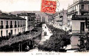 Alger - Rue Michelet - 1906